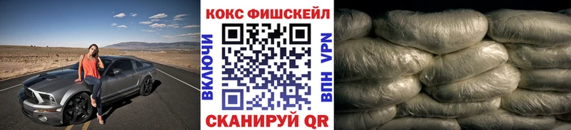 COCAIN Fish Scale  OMG ССЫЛКА  Ярославль 