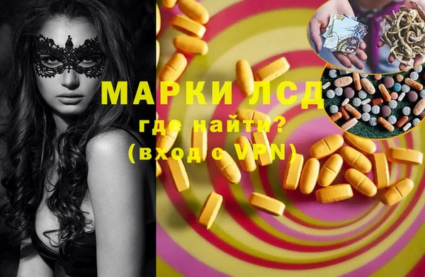 крисы Алзамай