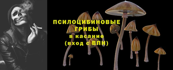 СК Абаза