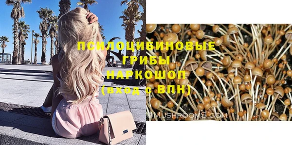 ГАЛЛЮЦИНОГЕННЫЕ ГРИБЫ Алексеевка