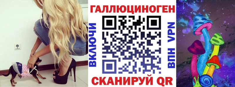 купить наркоту  маркетплейс клад  mega ссылки  Псилоцибиновые грибы мицелий  Ярославль 