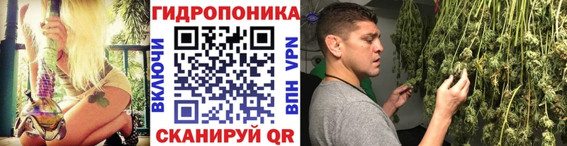 Бошки Шишки ГИДРОПОН  цены наркотик  Ярославль 